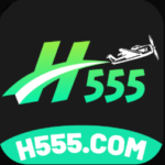 H555 Game